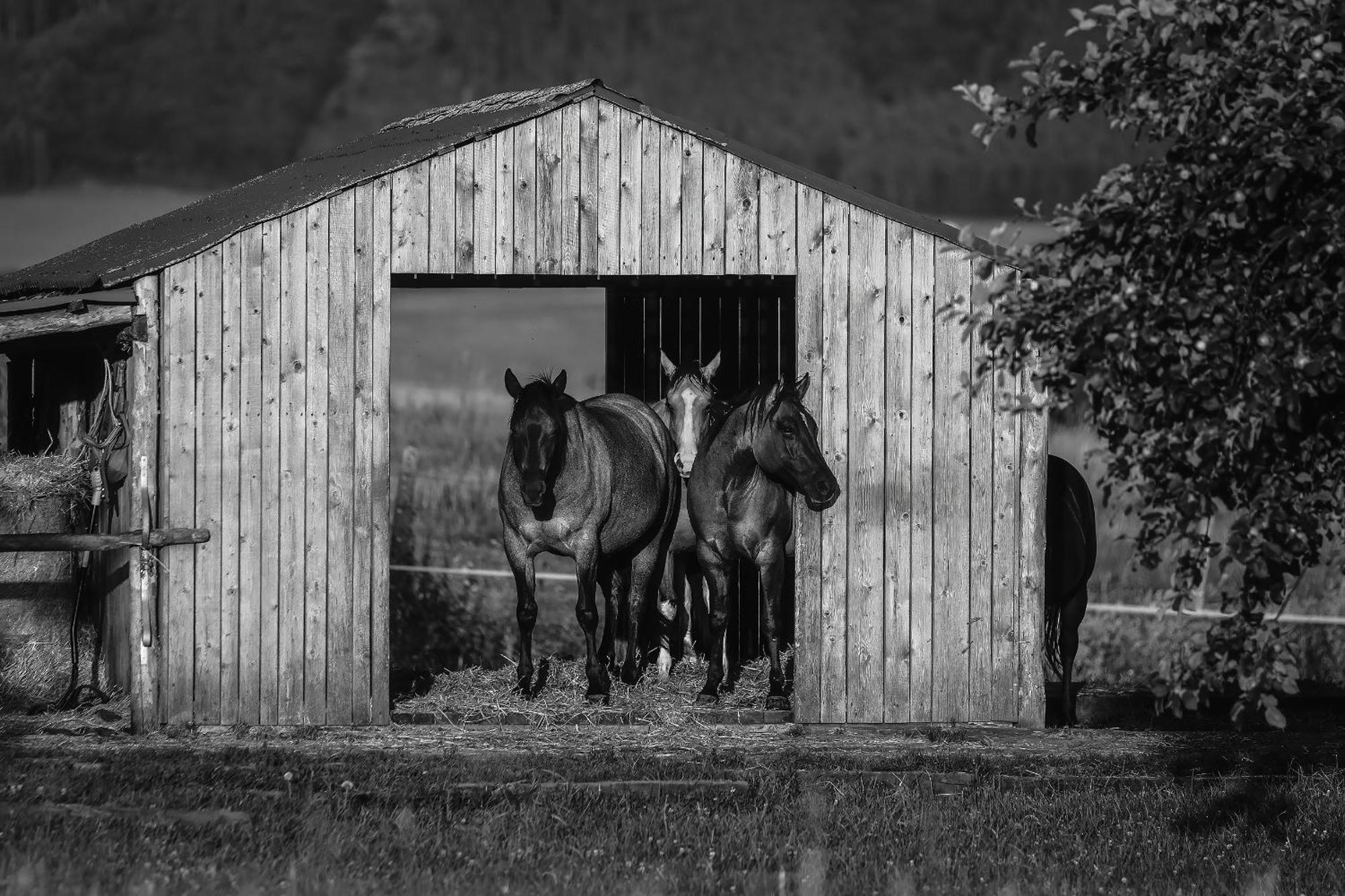 Apartman Ranc Martin Eksteriør billede